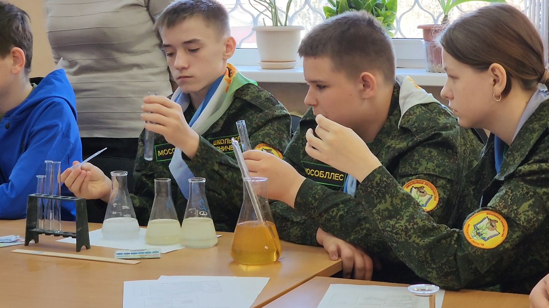 ступино, лесничество, образование подмосковья,