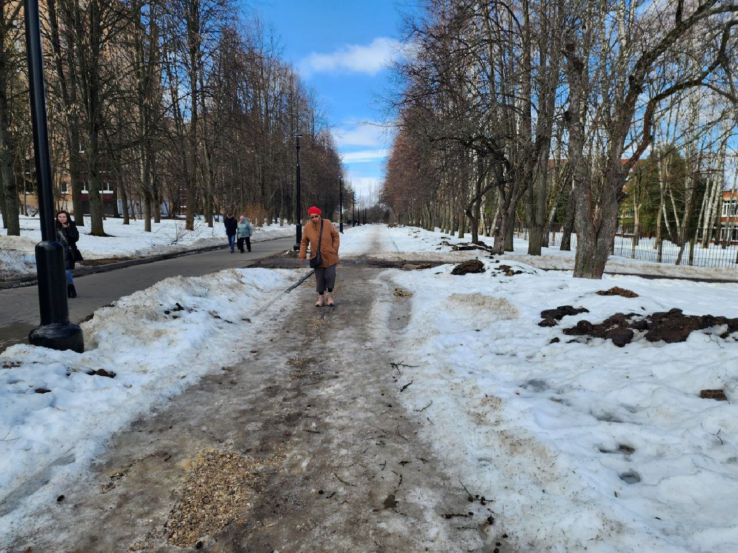 пущино, благоустройство, гимназия,