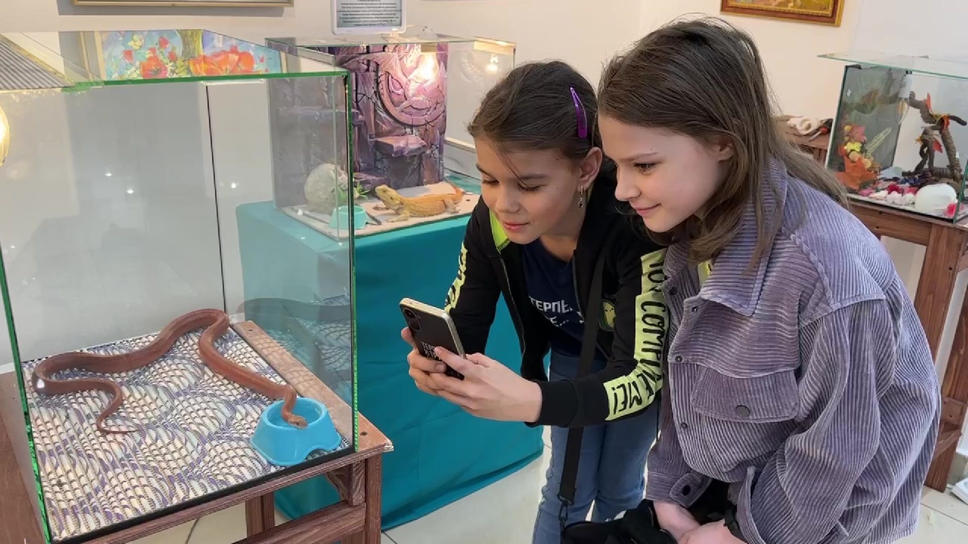 Реутов, музей, выставка, пауки, змеи,