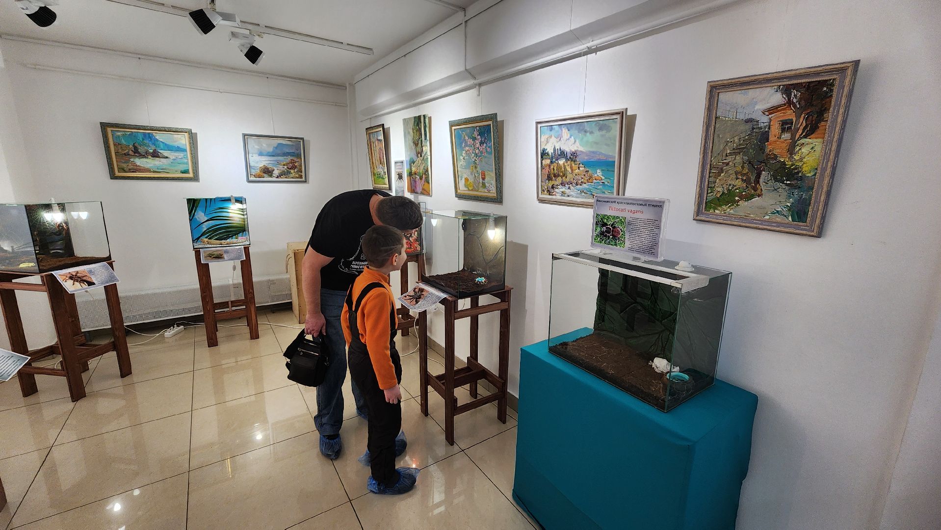 Реутов, музей, выставка, пауки, змеи,