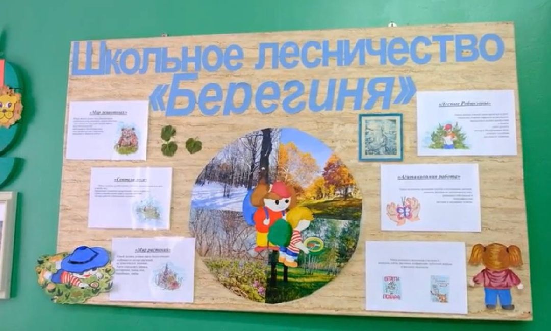 экоурок, школа, акция