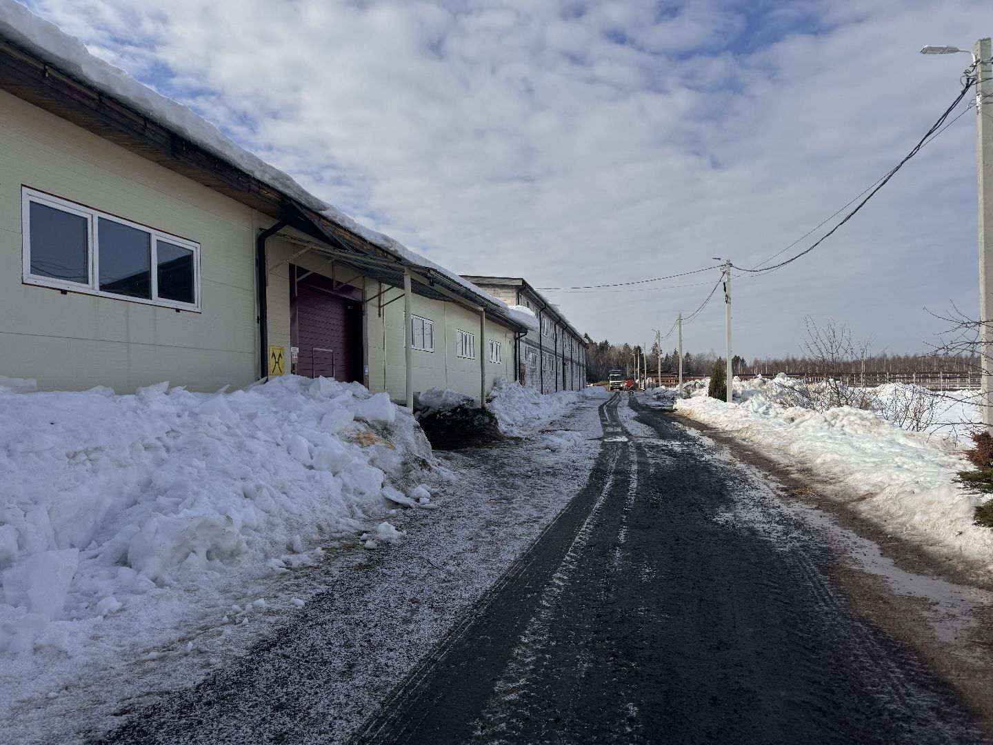 шаховская, ферма, лошади, ветеринария, конеферма,