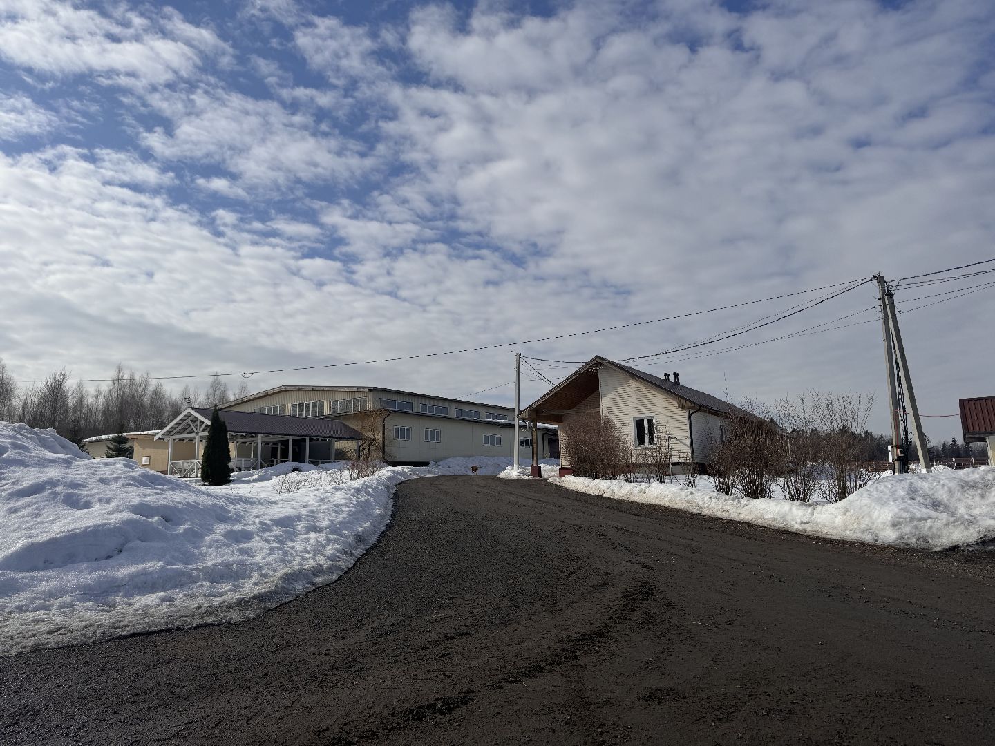 шаховская, ферма, лошади, ветеринария, конеферма,