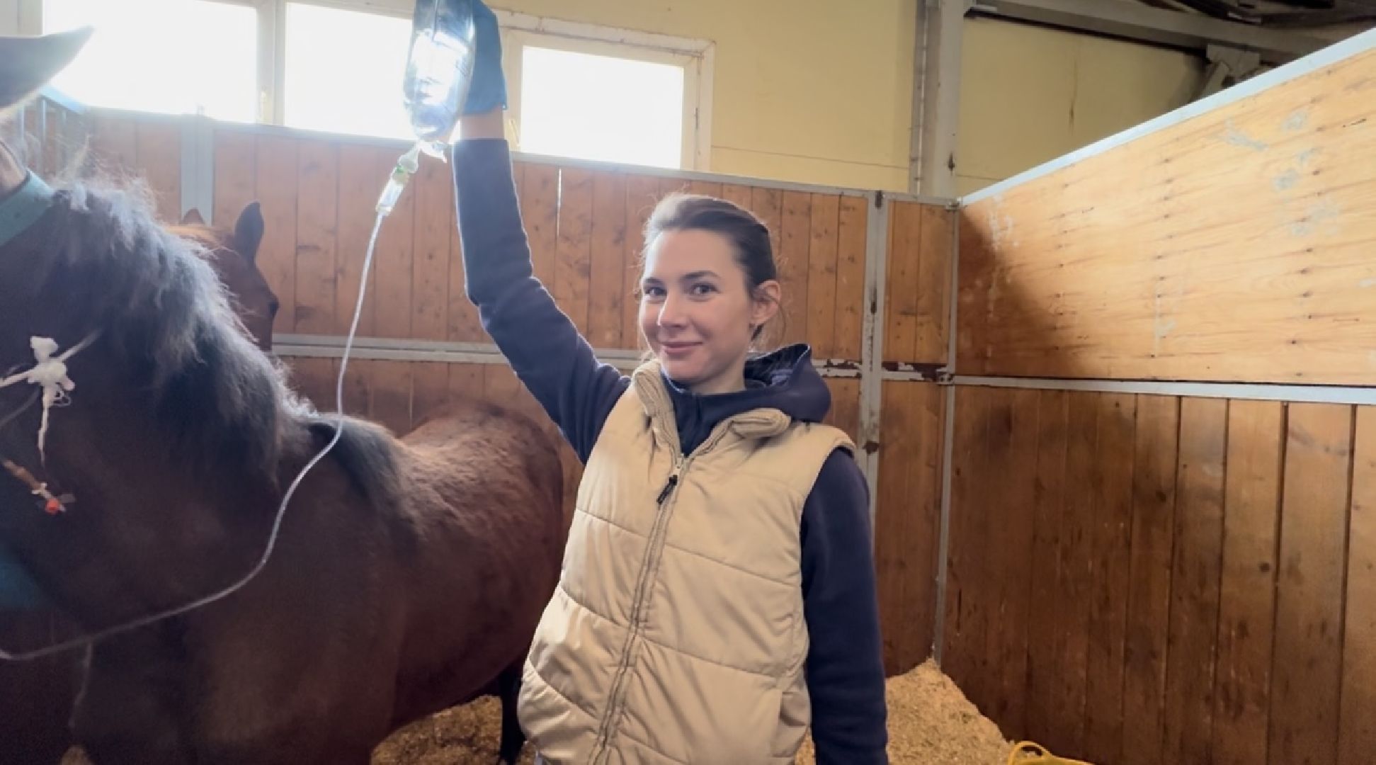 шаховская, ферма, лошади, ветеринария, конеферма,