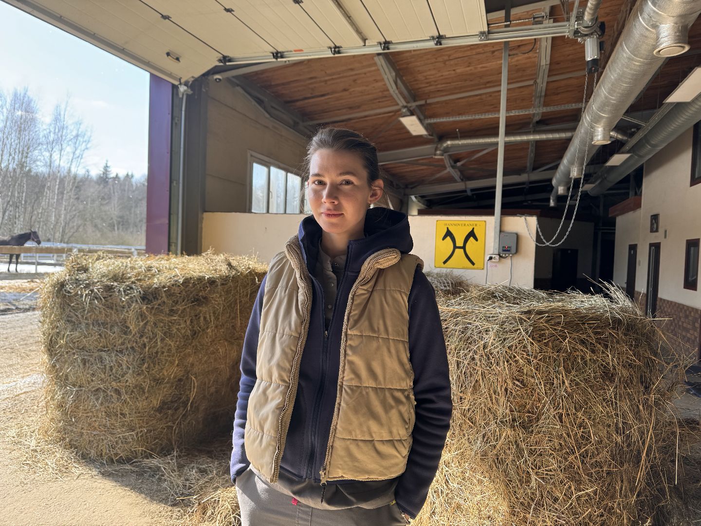 шаховская, ферма, лошади, ветеринария, конеферма,