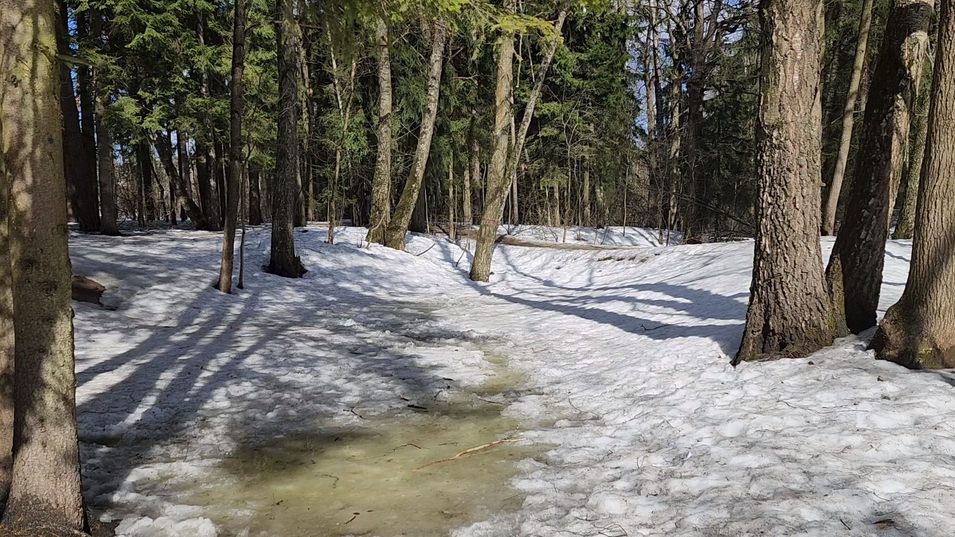 одинцово, трхгорка, паводок,