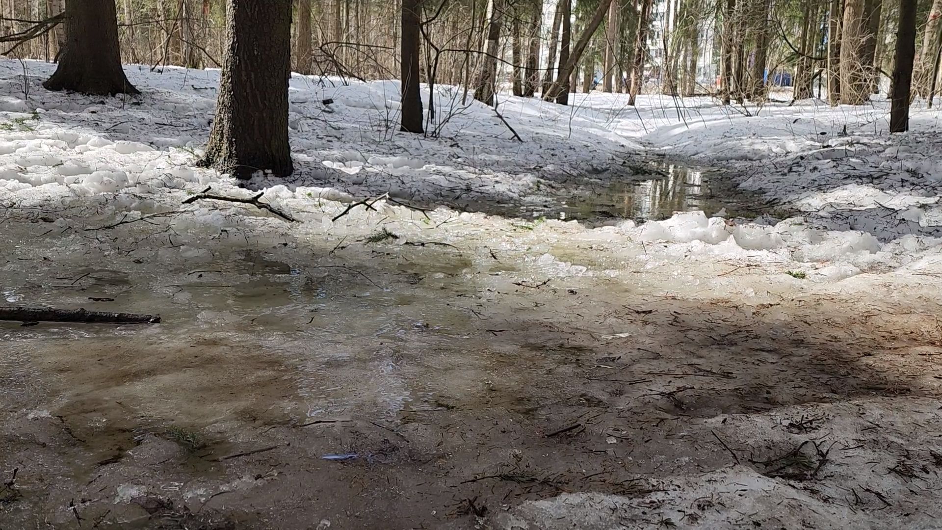 одинцово, трхгорка, паводок,