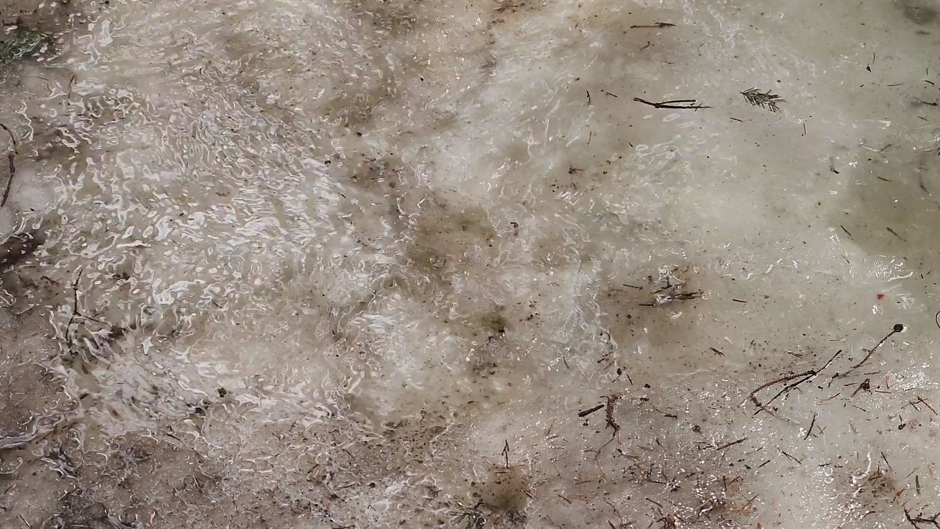 одинцово, трхгорка, паводок,