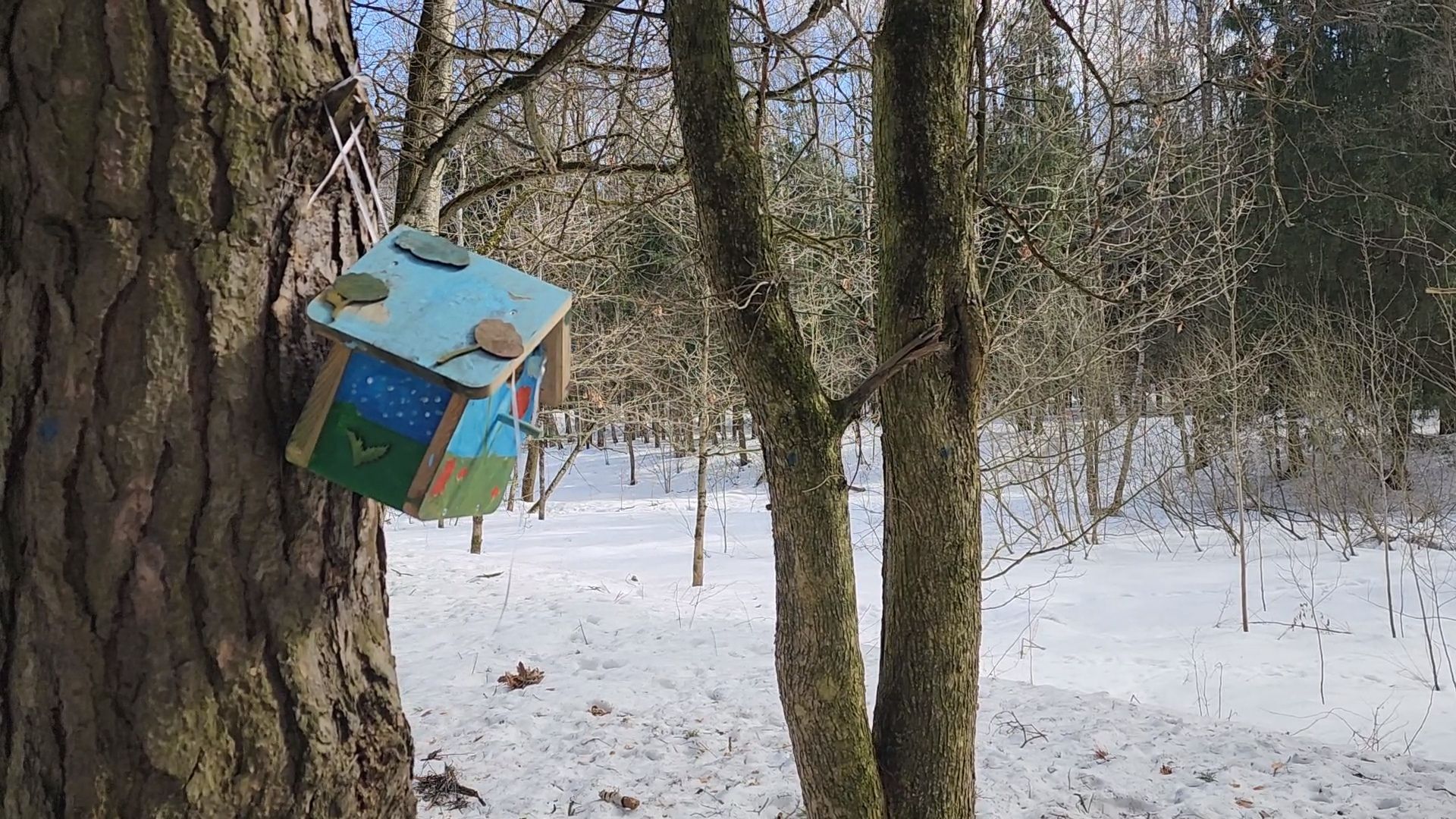 одинцово, трхгорка, паводок,