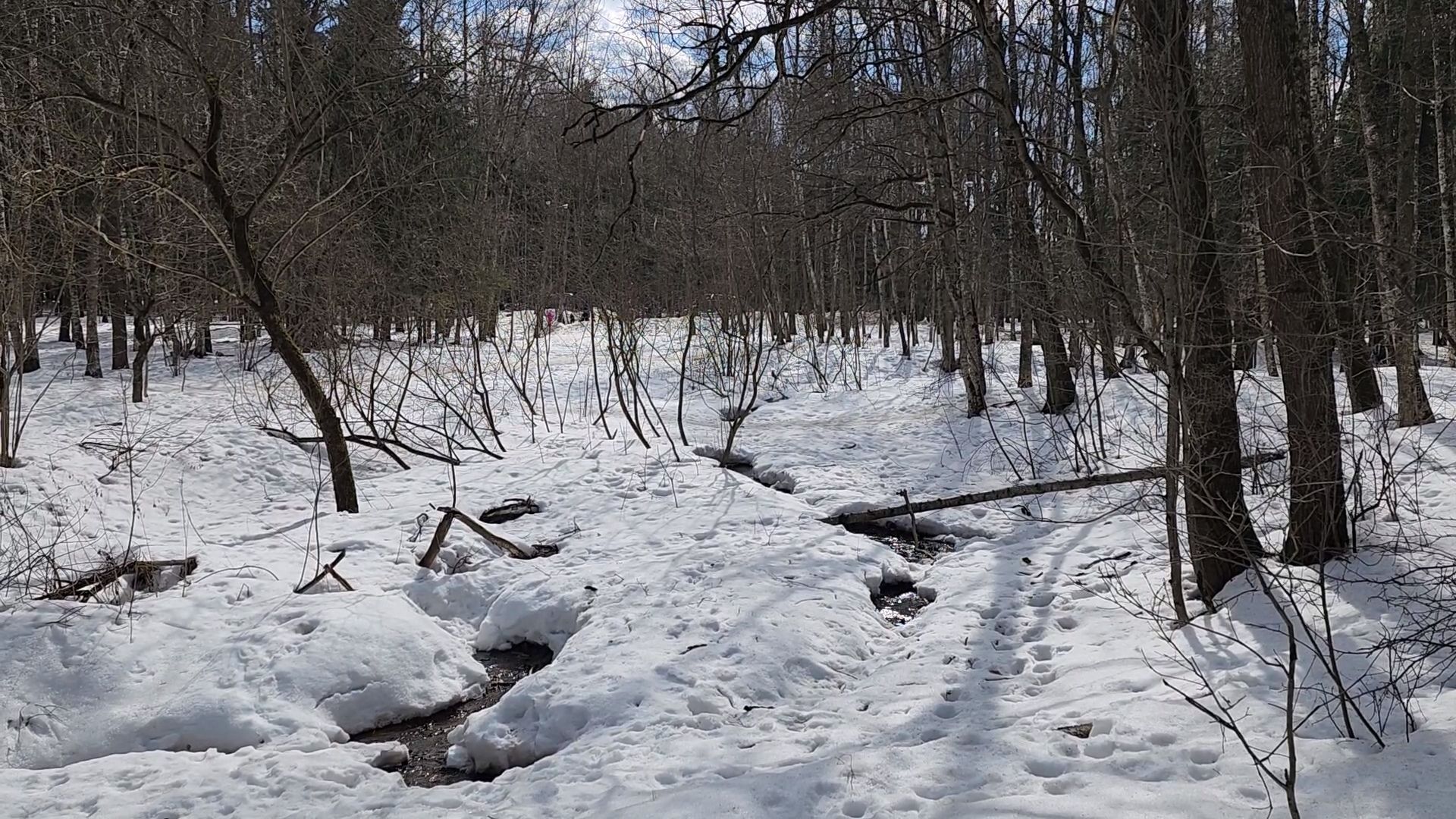 одинцово, трхгорка, паводок,