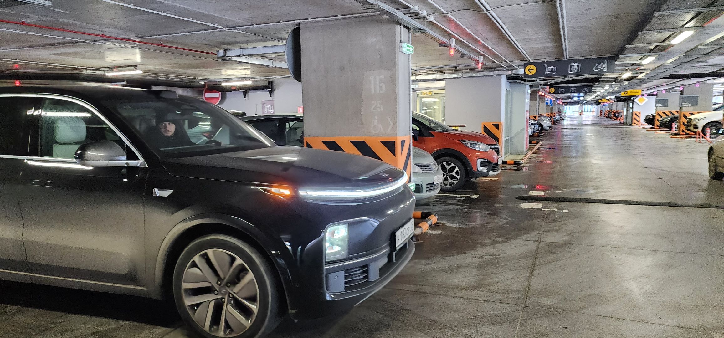 электромобили, зарядные станции, аэропорт Домодедово,