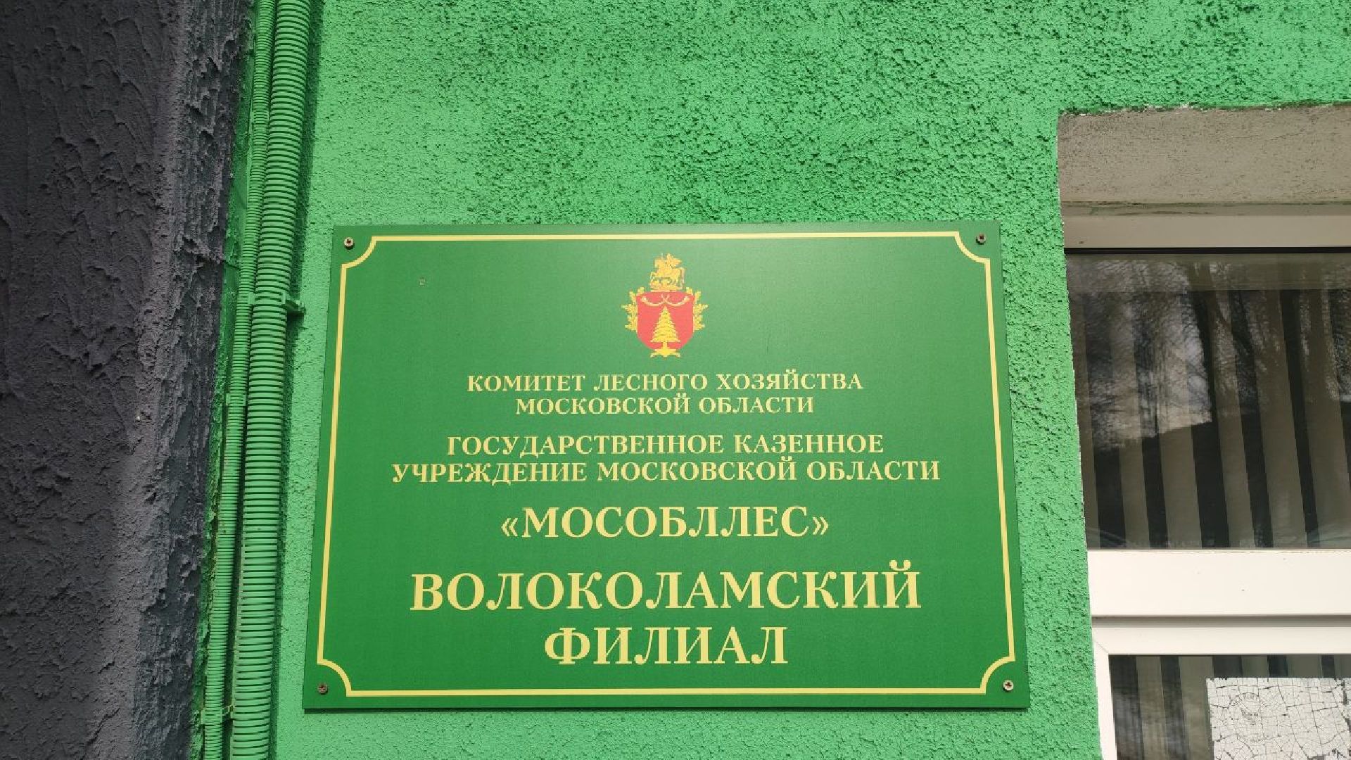 волоколамск, волоколамское лесничество, противопожарная безопасность,