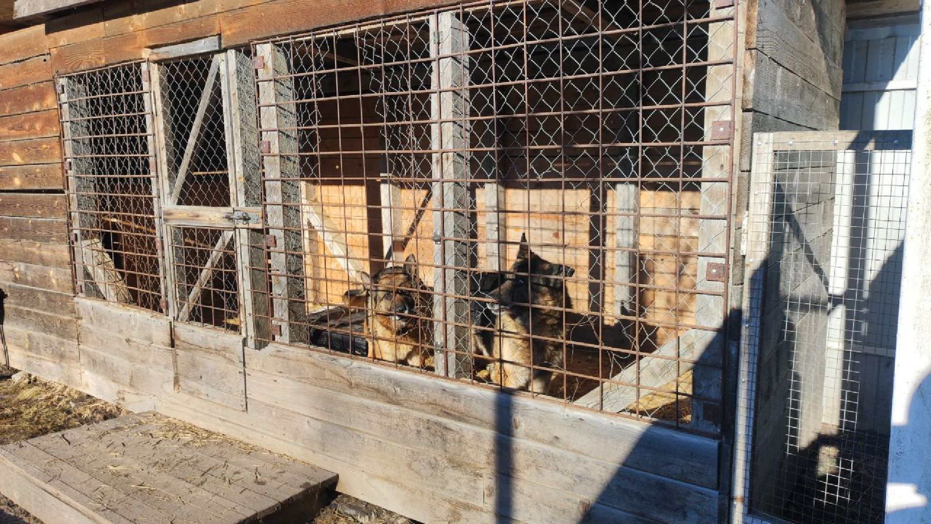 спасатели, мчс, осташево, волоколамск,