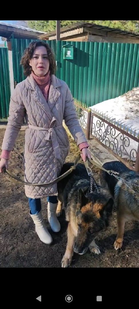 спасатели, мчс, осташево, волоколамск,