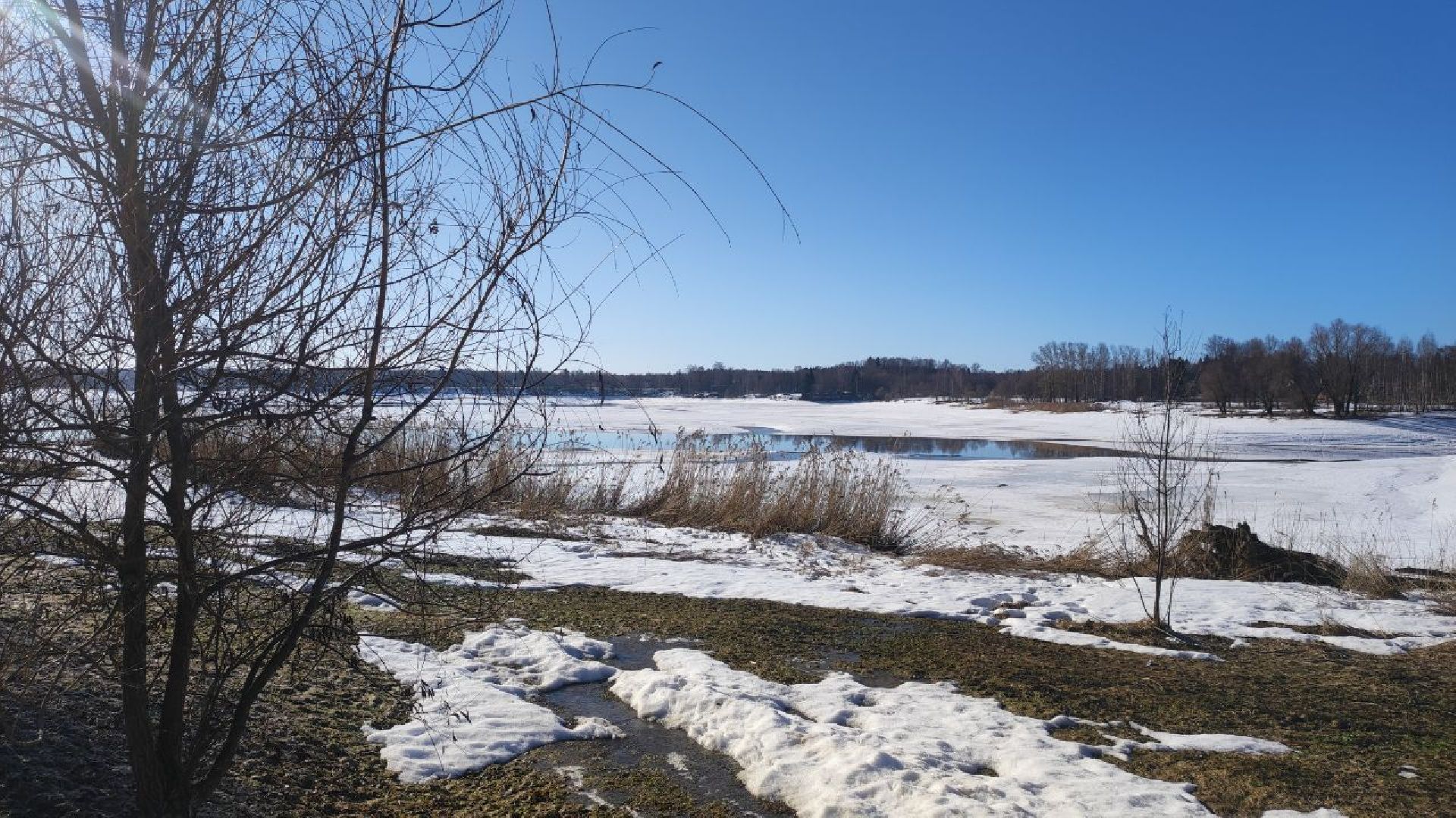спасатели, мчс, осташево, волоколамск,
