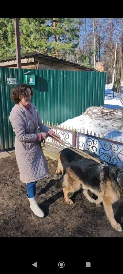 спасатели, мчс, осташево, волоколамск,