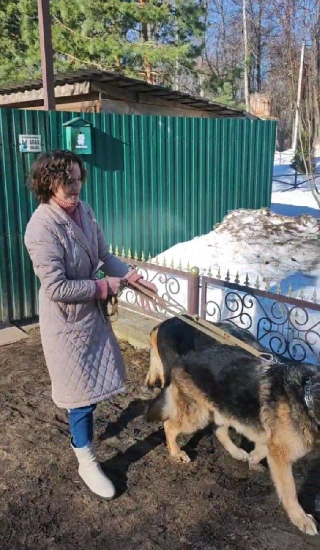 спасатели, мчс, осташево, волоколамск,