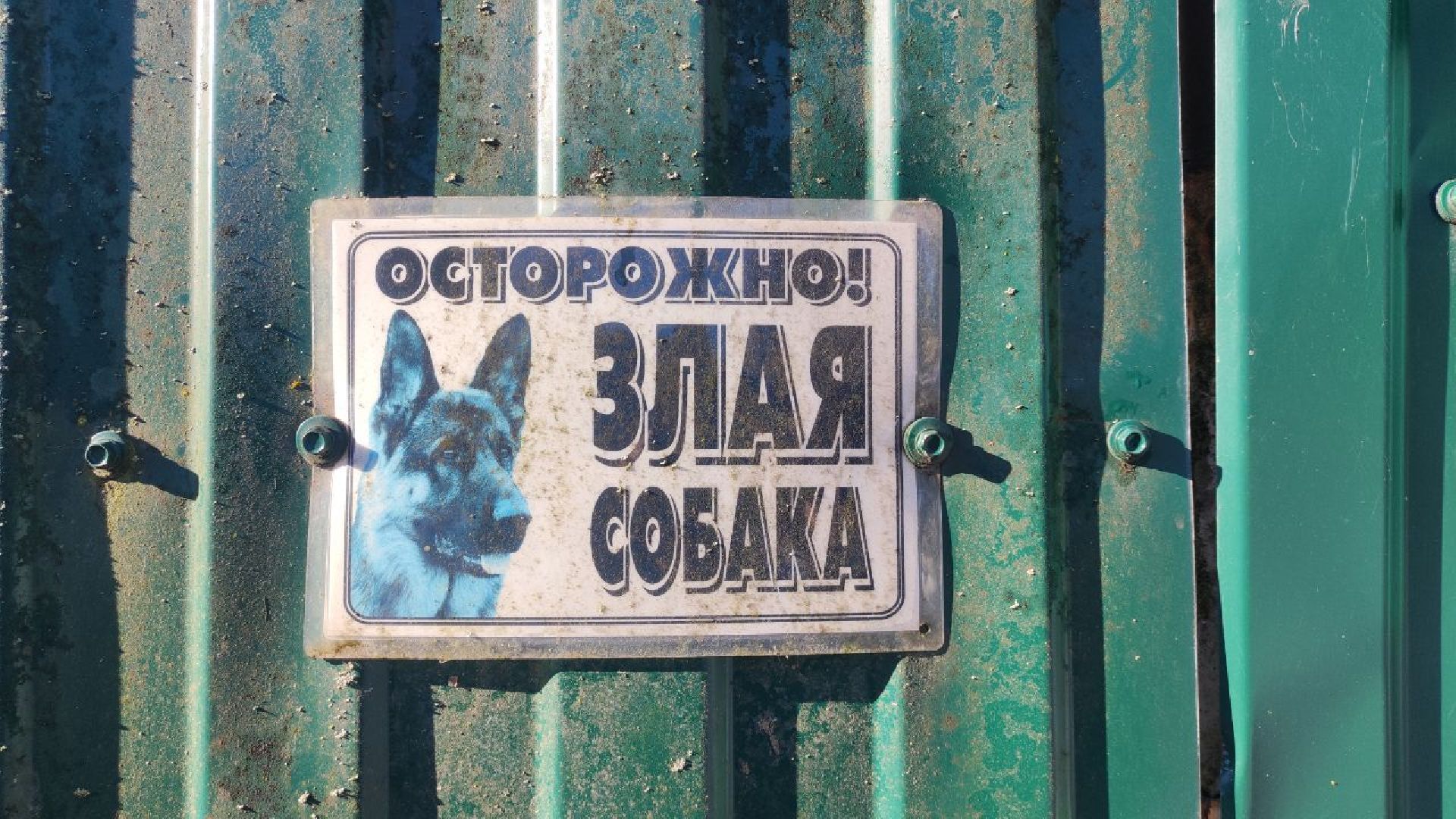 спасатели, мчс, осташево, волоколамск,