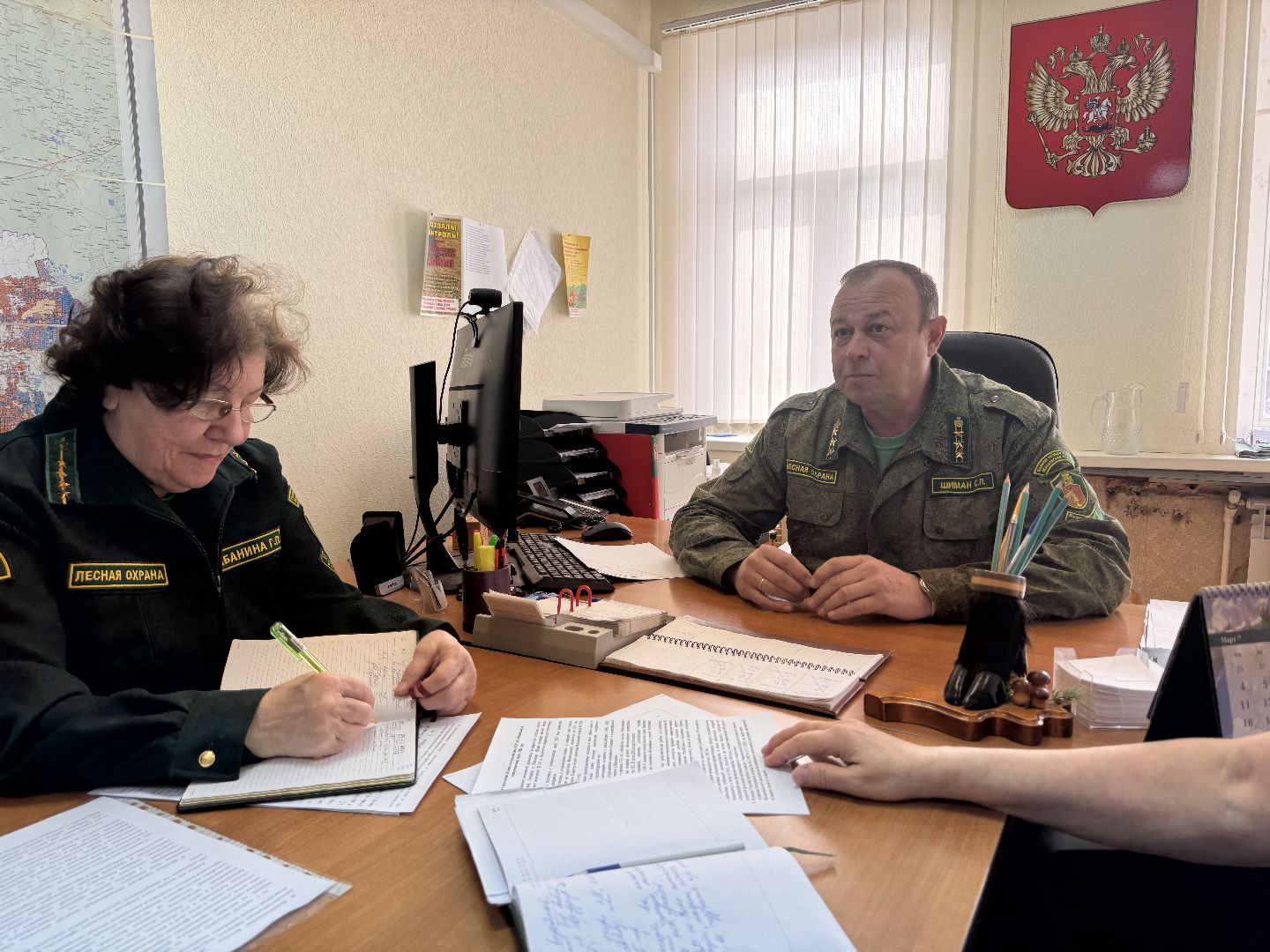 шаховская, лесничество, посадка леса,