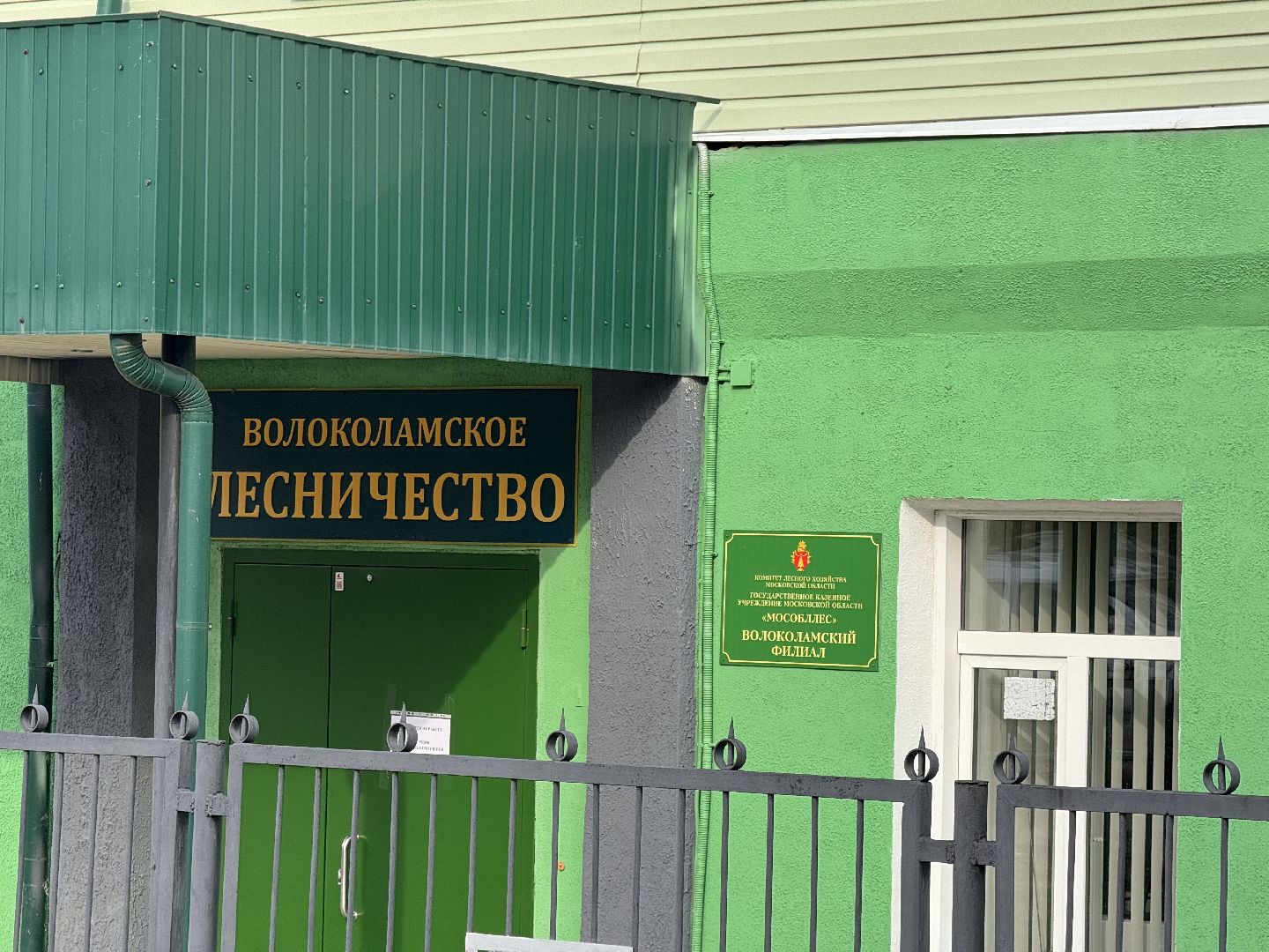 шаховская, лесничество, посадка леса,