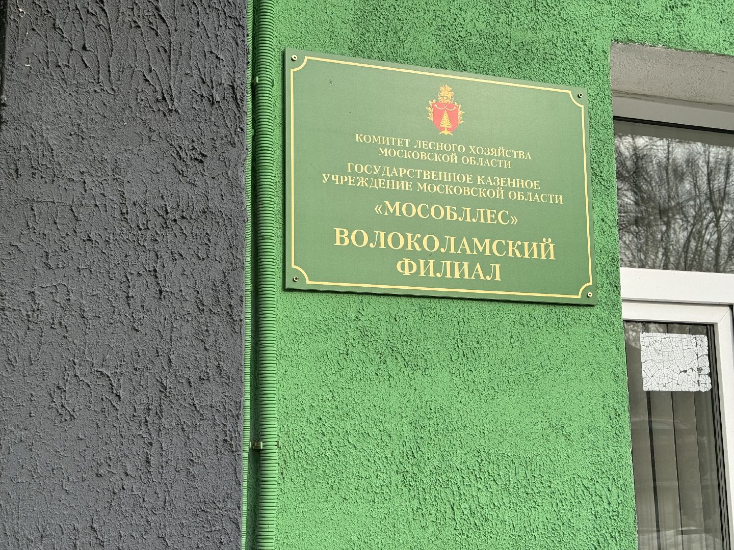 шаховская, лесничество, посадка леса,