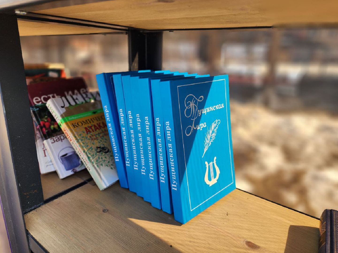 пущино, серпухов, комфортная городская среда, благоустойство,