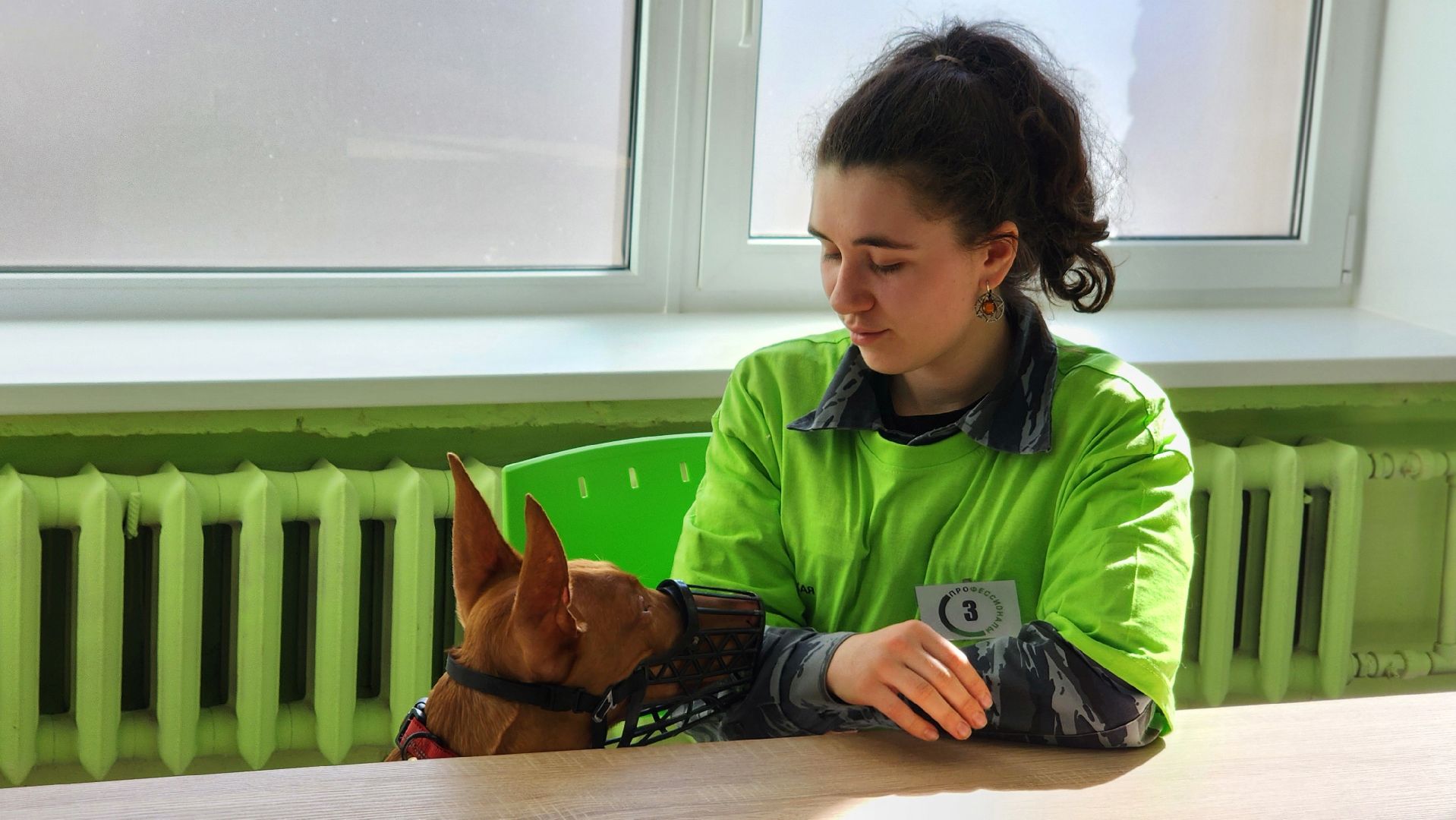 протвино, губернский колледж, кинологи, чемпионат профессионалы, образование,