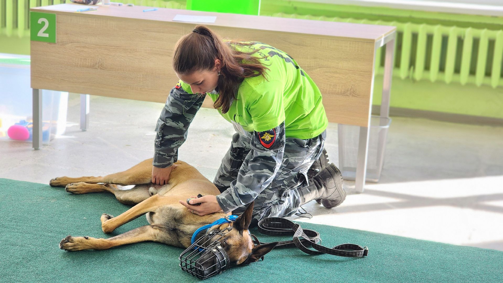 протвино, губернский колледж, кинологи, чемпионат профессионалы, образование,