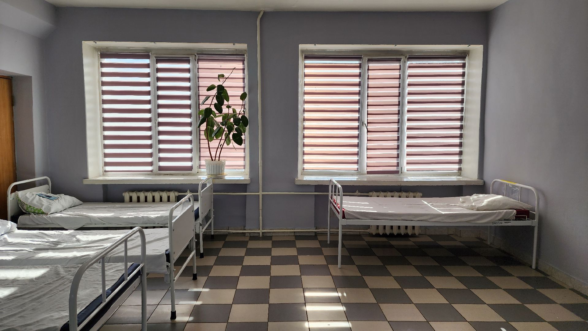 Солнечногорск, отделение реабилитации, выставка-форум россия, медицина,