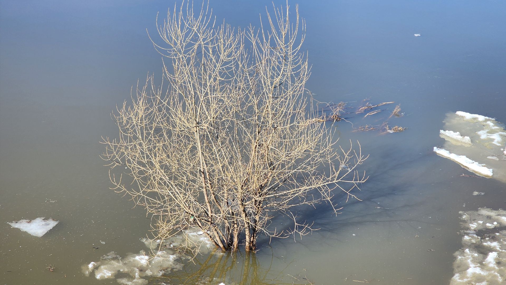 кашира, ока, набережная, ледоход, паводок, начало паводка,
