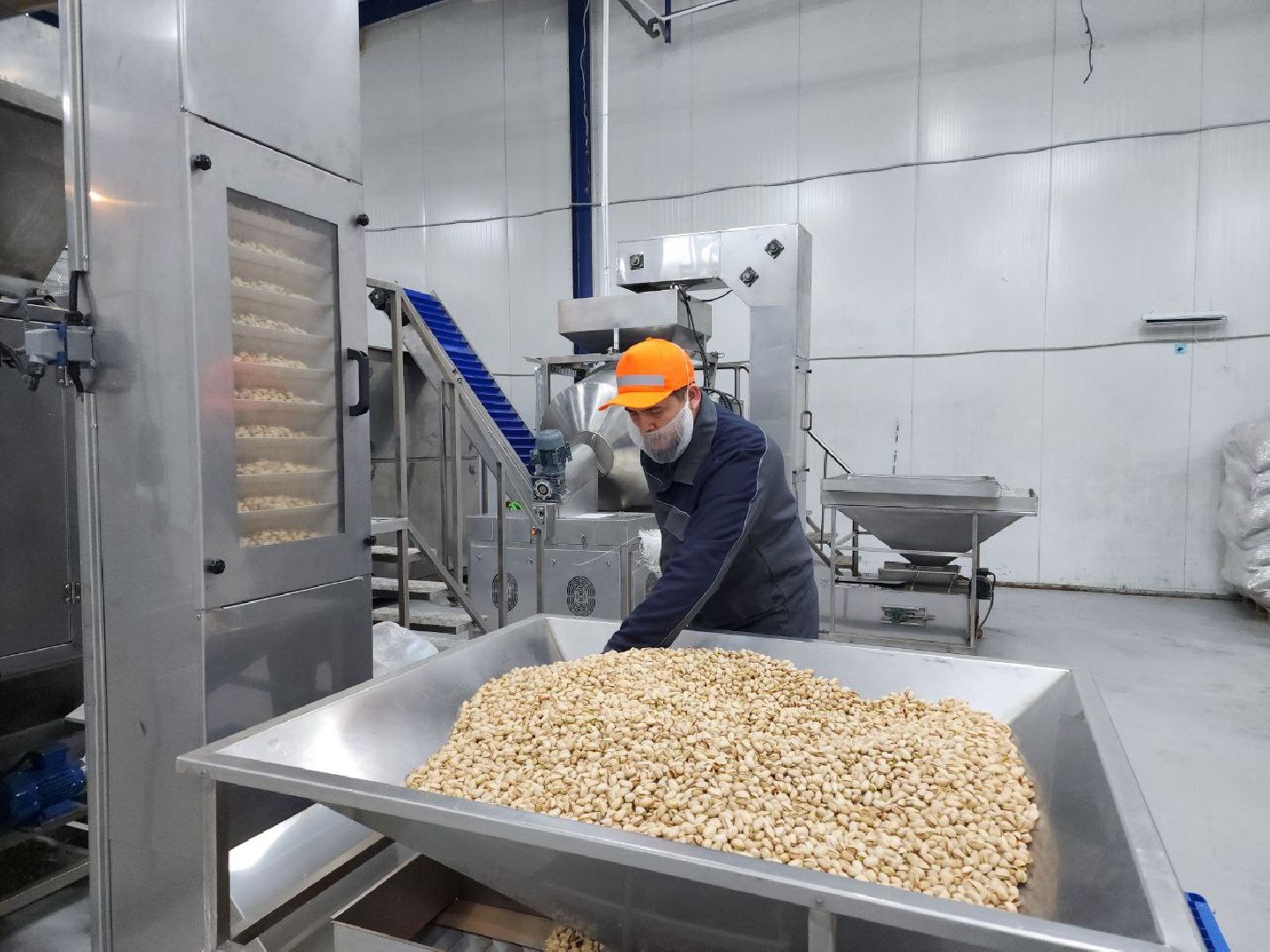 чехов, экономика, завод, земля за рубль, здоровое питание, производство,