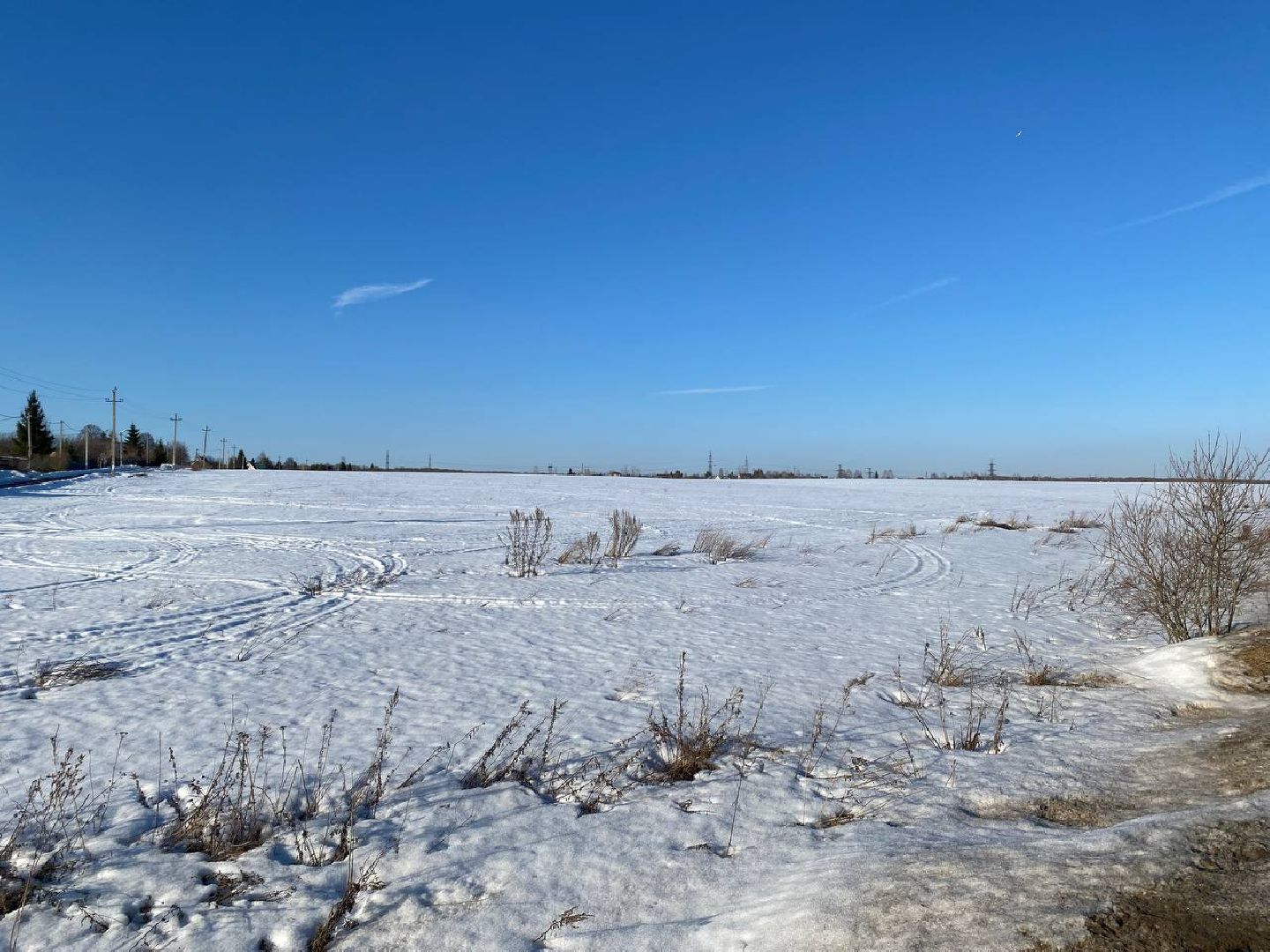 чехов, экономика, завод, земля за рубль, здоровое питание, производство,