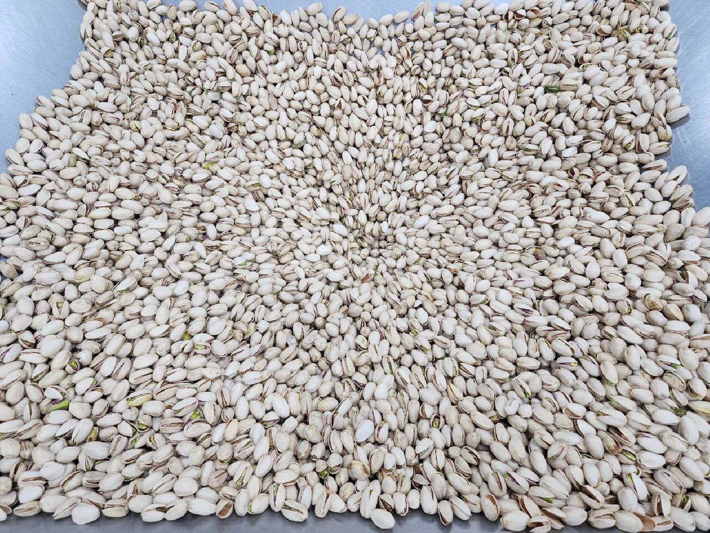 чехов, экономика, завод, земля за рубль, здоровое питание, производство,