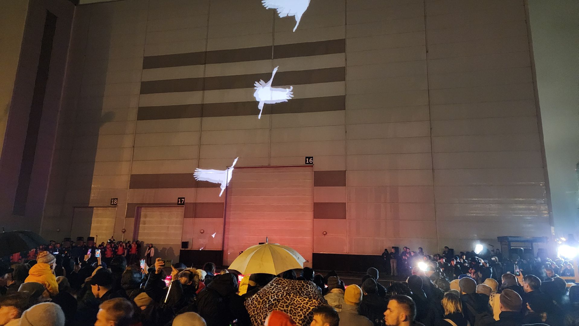 Красногорск, теракт, проекция,