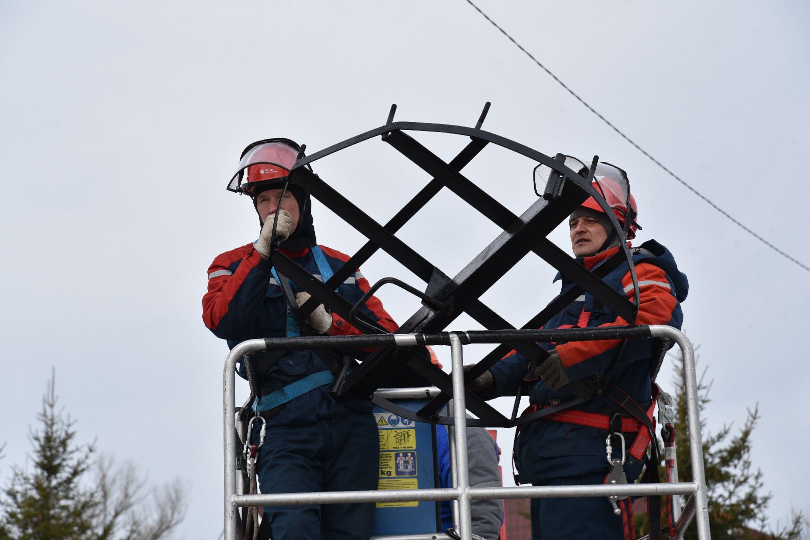 лотошино, россети московский регион», аисты, экология,