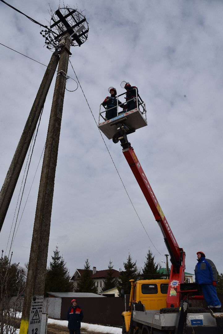 лотошино, россети московский регион», аисты, экология,