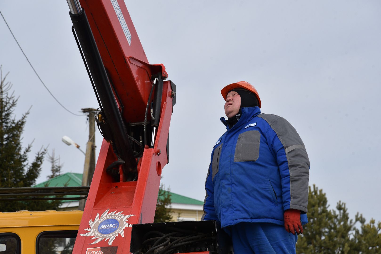 лотошино, россети московский регион», аисты, экология,