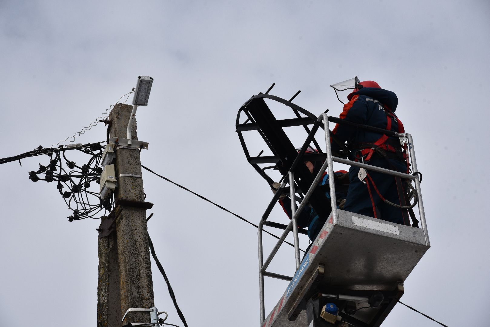 лотошино, россети московский регион», аисты, экология,