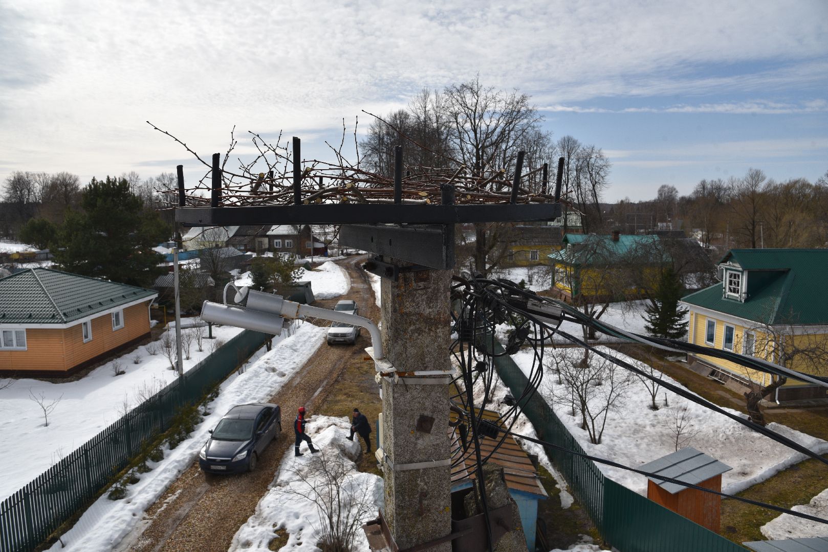 лотошино, россети московский регион», аисты, экология,