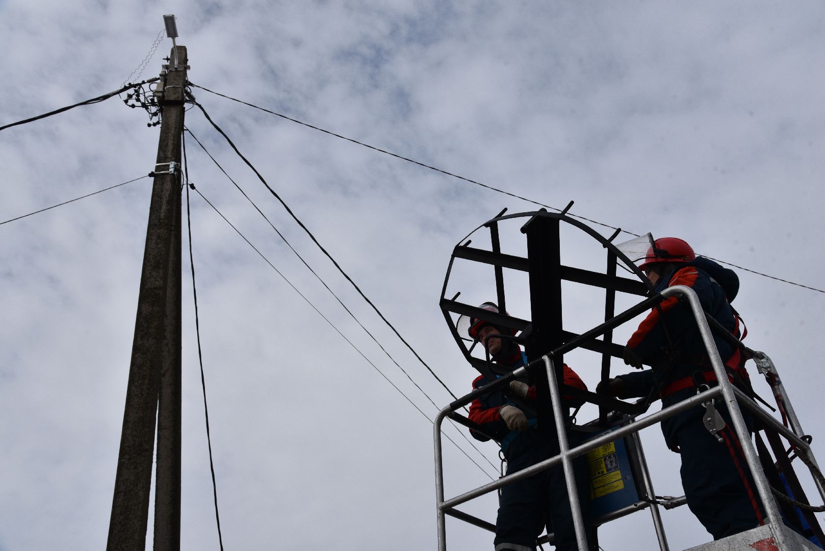 лотошино, россети московский регион», аисты, экология,