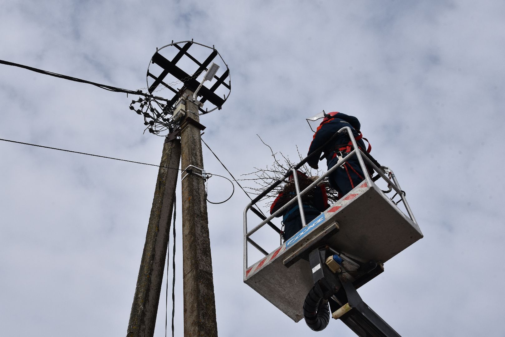 лотошино, россети московский регион», аисты, экология,