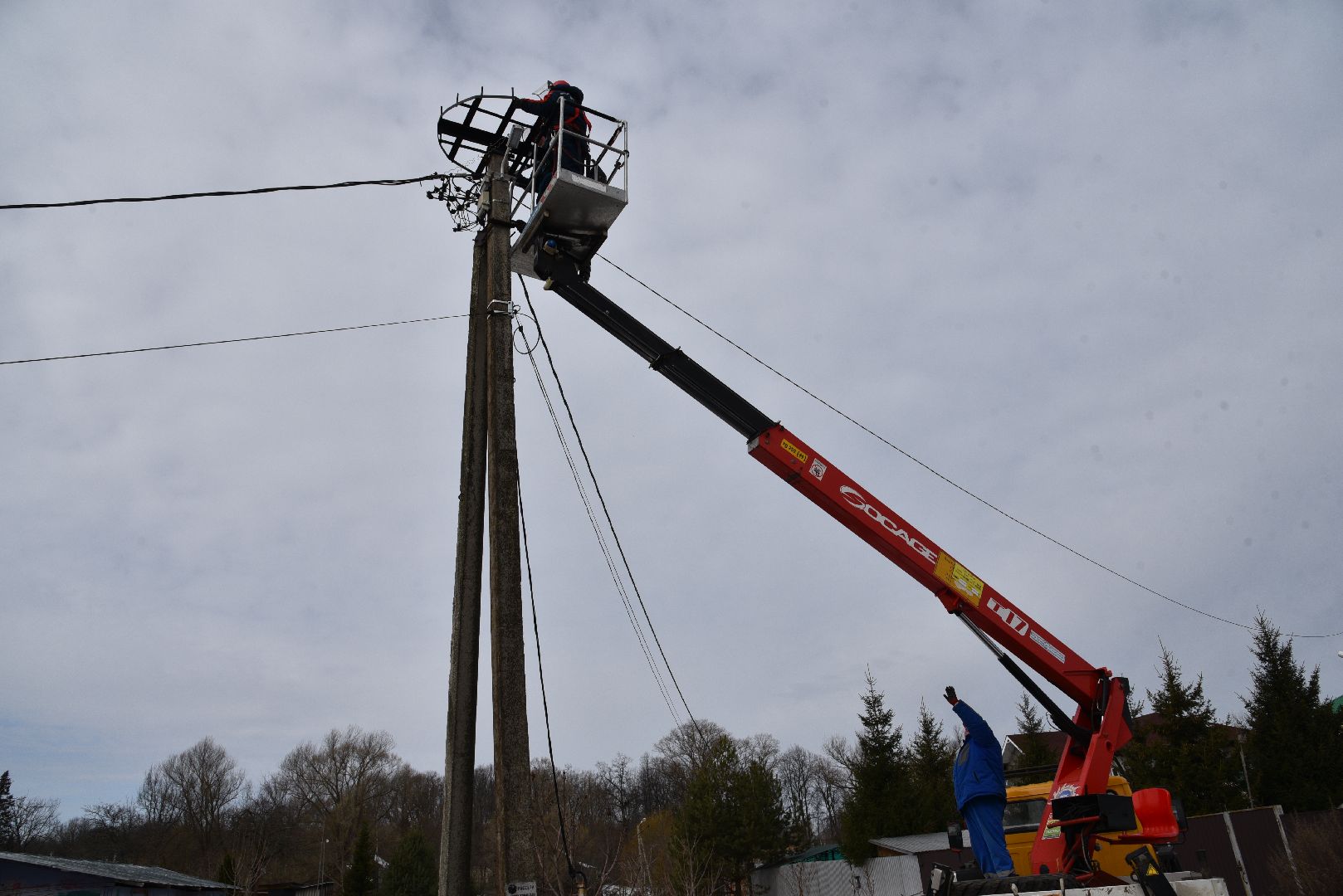 лотошино, россети московский регион», аисты, экология,