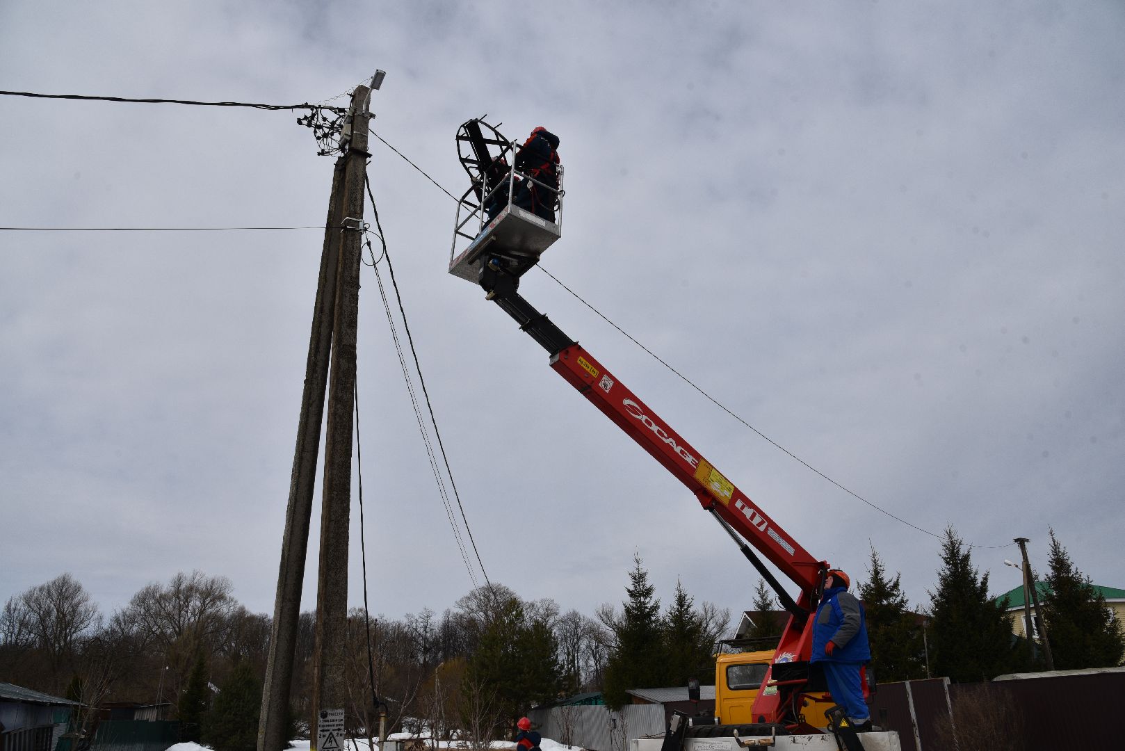 лотошино, россети московский регион», аисты, экология,