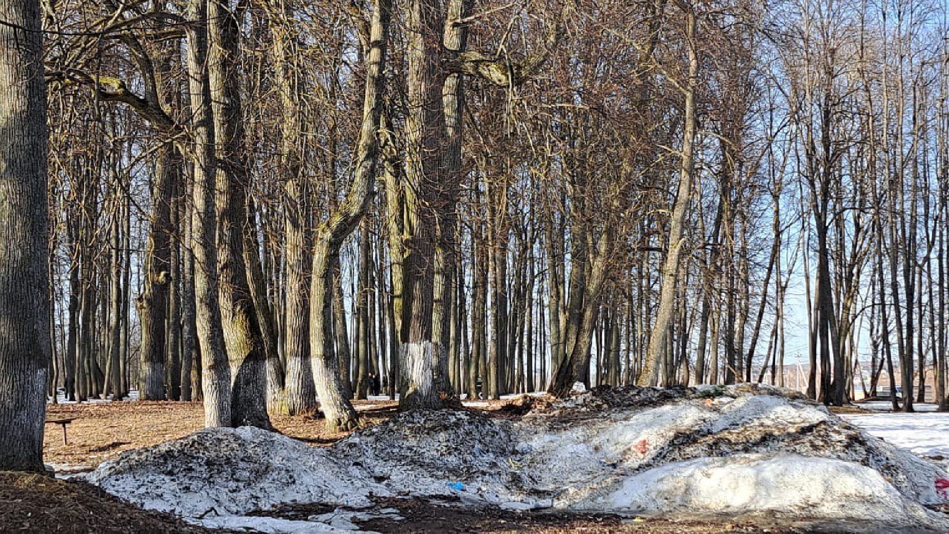 чехов, чеховский городской округ, беспилотник, беспилотники, мвд,