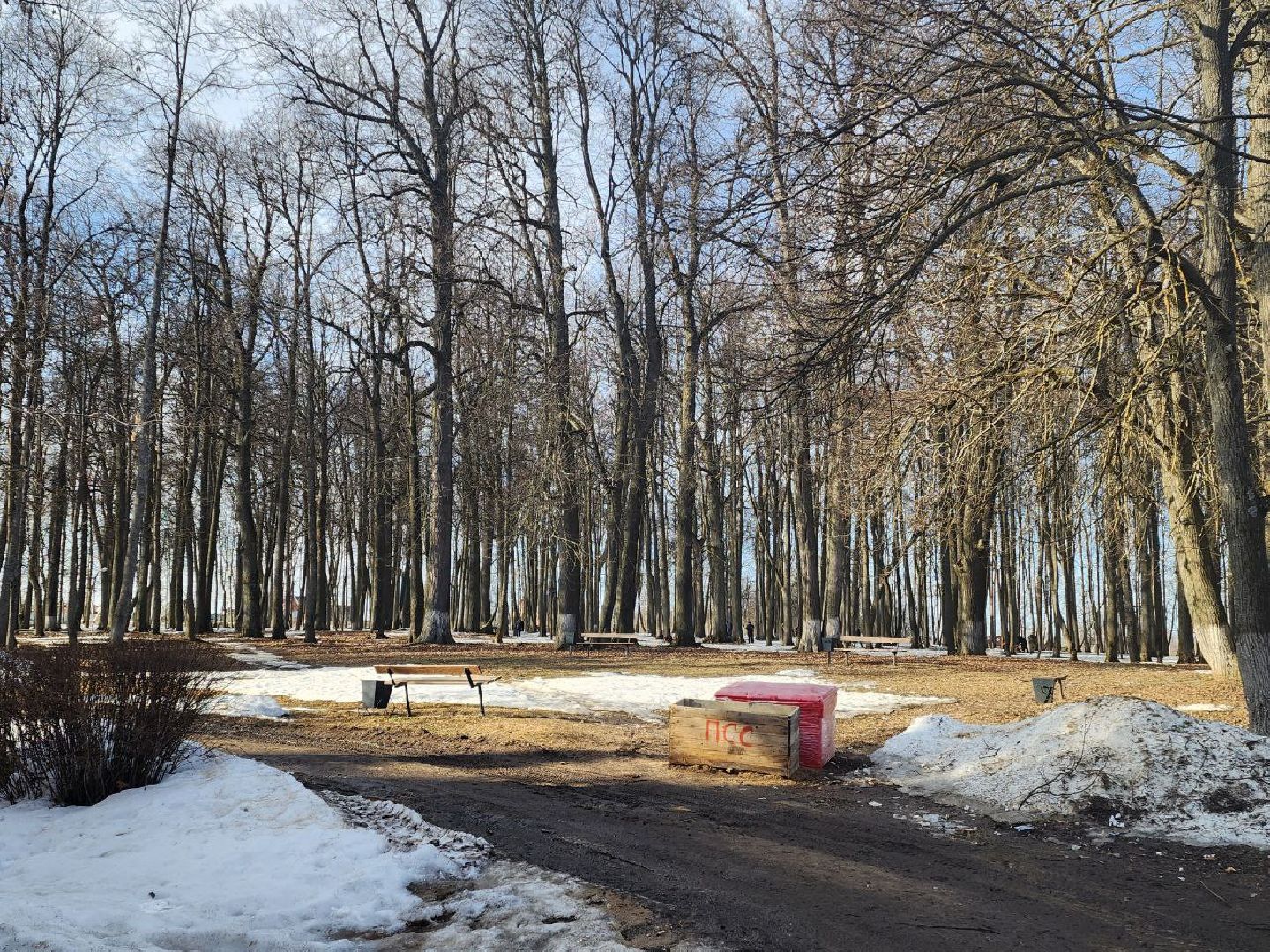 чехов, чеховский городской округ, беспилотник, беспилотники, мвд,