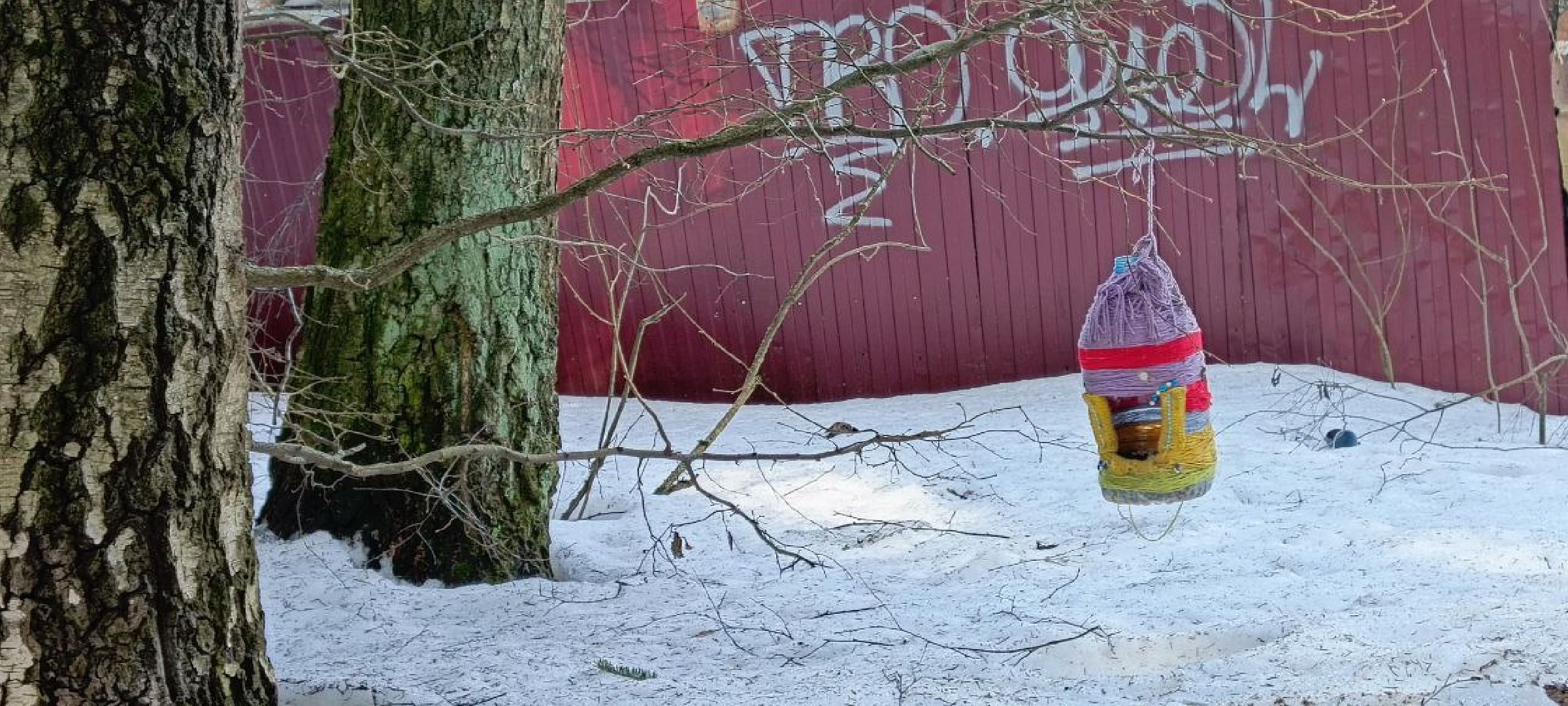 Дмитров, Благоустройство, Минблаго,