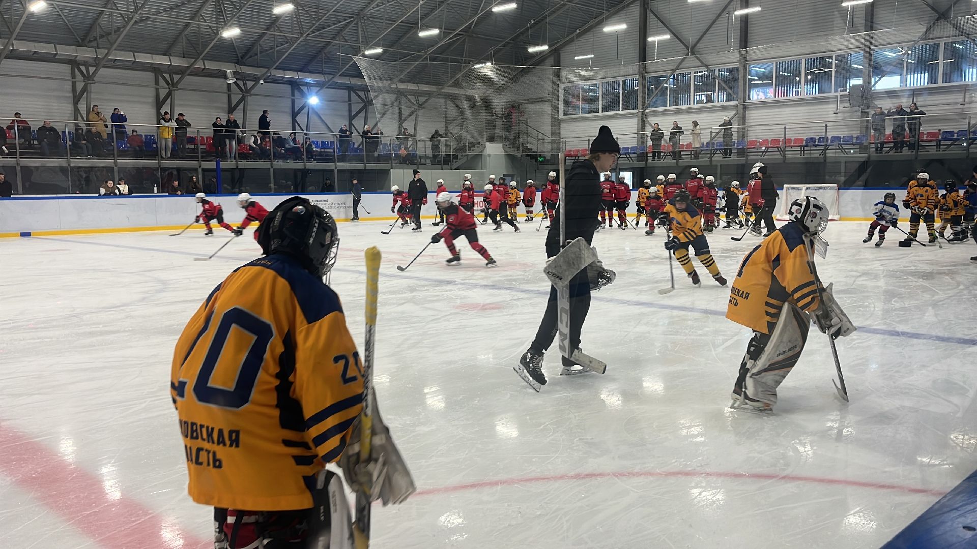 хоккей, хоккеисты, мастер класс, детский хоккей,