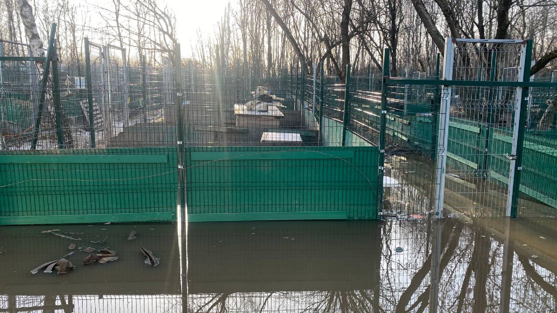 приют для животных, ленинский городской округ, собаки, потоп, чп подмосковье,