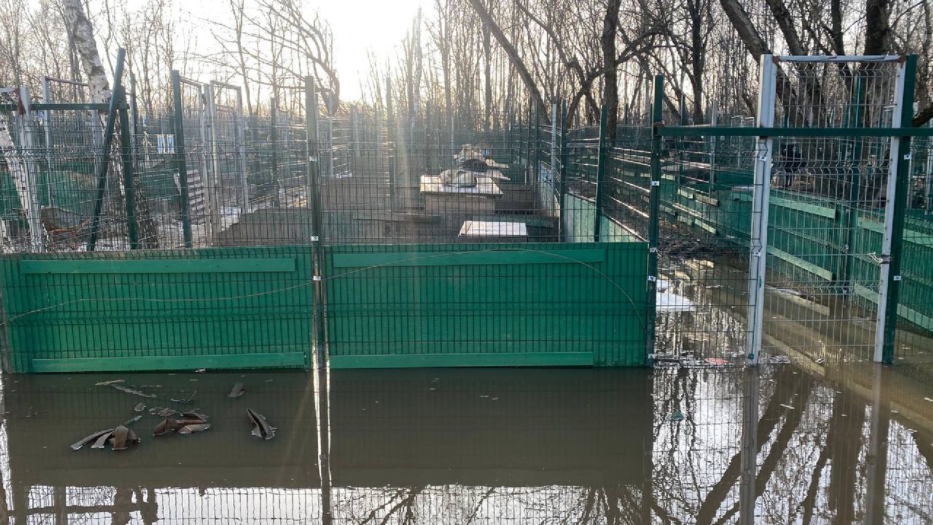 приют для животных, ленинский городской округ, собаки, потоп, чп подмосковье,