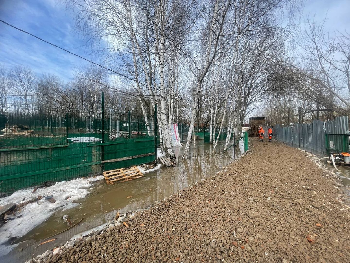 приют для животных, ленинский городской округ, собаки, потоп, чп подмосковье,